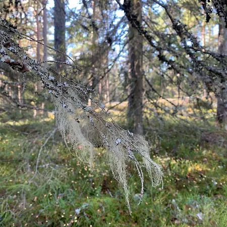 Sofia Villa Otalampi