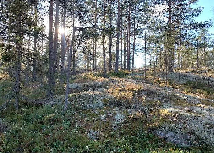 别墅 Sofia Otalampi